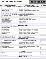 Mały przegląd zgodnie z programem serwisowym